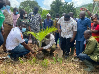 Over 500 species of Rosewood, Prekese, Mahogany trees were planted to create a therapeutic garden