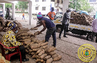 The tubers of yam donated by the Konkomba Yam Producers Marketing Society