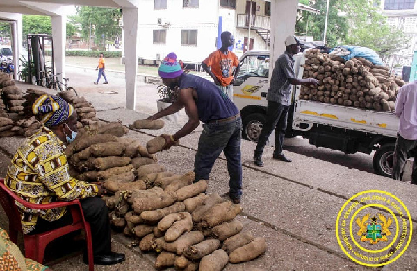 The tubers of yam donated by the Konkomba Yam Producers Marketing Society