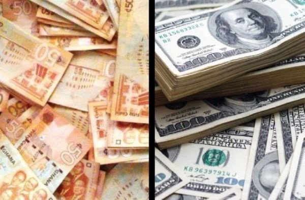 Cedi and dollar notes