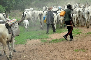 Fulani Herdsmen3