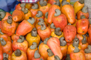 Cashew Fruits1