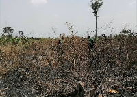 A burnt farm