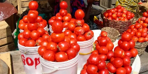 Tomatoes Import