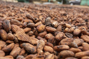 Cocoa is a key export commodity for Ghana