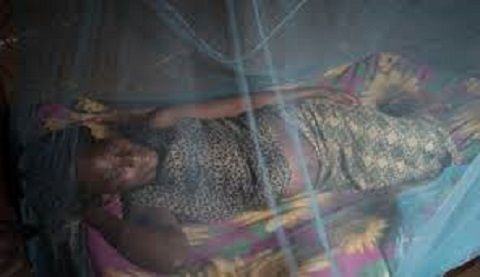 A pregnant woman sleeping under a treated mosquito net