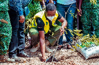 Staff of Zoomlion planting a tree