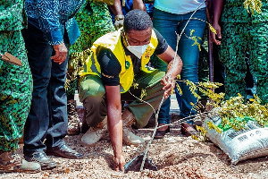 Staff of Zoomlion planting a tree