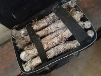 A photo of the human bones that were intercepted