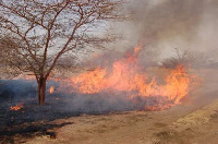 Scientists said the annual bush fires posed serious threat to the food security