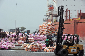 Food2 Security Bags Of Rice