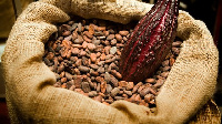 Prudential Bank and UBA offered the CPC $5m and $10m guarantees for the purchase of cocoa beans