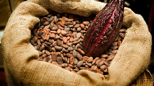 There were reports that 100 tonne of cocoa from Ghana was rejected because it contained herbicide