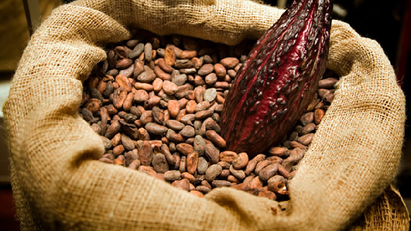 Fair-trade Africa ranked in $7,147,546 to Ghanaian cocoa producers in 2016/2017