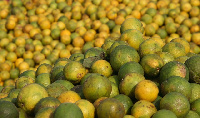 A liquid substance is been used by some women to enhance  the colour of the fruits