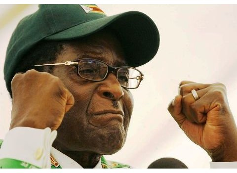 Pro African writers expressed mixed feelings about how Mugabe rose as a hero and fell as a villain