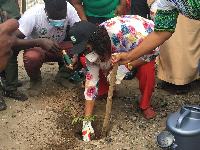 Madam Mariama Karley Amui planting her tree