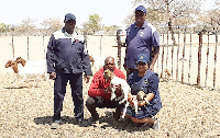 Agribank officials admire Abednego Kaiko's newest additions to his goat flock