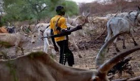 The Fulani's end up destroying many farmlands in the area