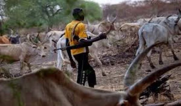 The Fulani's end up destroying many farmlands in the area