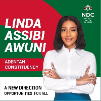 National Democratic Congress (NDC), Linda Assibi Awuni