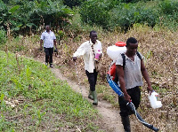 Some farmers working on their farm