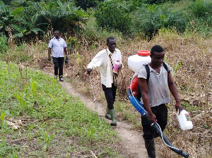 Some farmers working on their farm