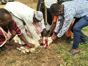 Muslims slaughter a sheep for Eid-Ul-Adha | File photo