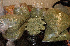 Grams Of Weed2