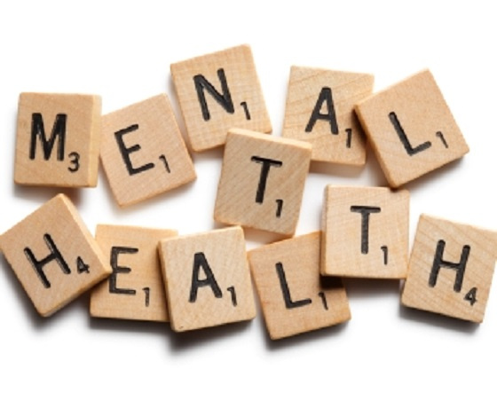 The government has been advised to create a mental health fund for the mentally ill