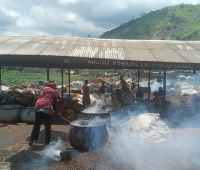 Palm kernel oil processing