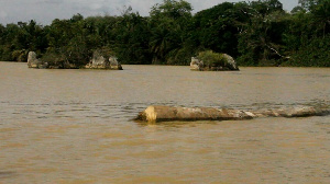 Locals report that illegal miners have resumed operations due to the halt in monitoring of the IMCM