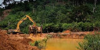 Excavator destroying the forest for mining