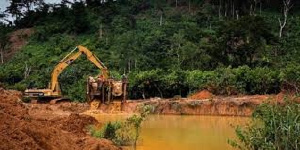 Excavator Destroying The Forest For Mining67.