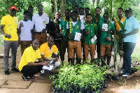 Some students receive the donate seedlings