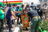 Some persons planting trees as part of the Green Ghana Initiative