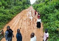 The MP has undertaken the reshaping of the Ankasa Forest Reserve road