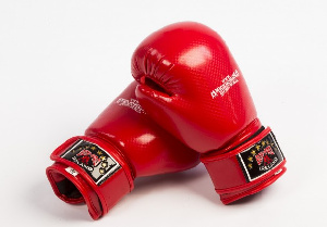 Boxing Gloves New