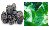 File: Dawadawa and Kontonmire are very healthy ingredients which improve health