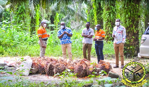 He inspected a vast oil palm farm at Bogoso