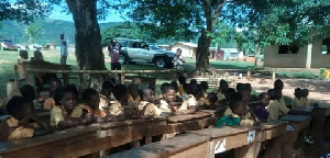 Students Under Trees