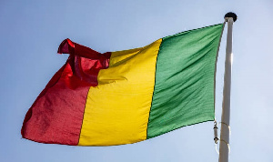 Mali Flag