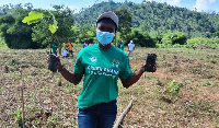 A Green Ghana official with seedlings for planting