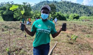 The green Ghana initiative seeks to improve Ghana's forest cover