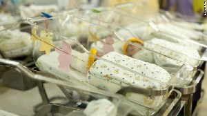 Newborns are placed in a bed after being taken off incubators in Gaza's Al-Shifa hospital