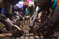 The initiative will facilitate exports of shea kernels and value-added shea products