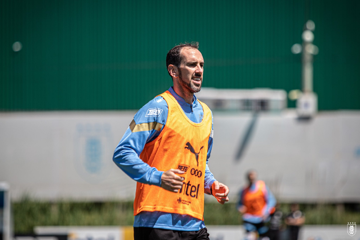 Diego Godin