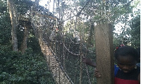 The Bunso canopy walkway was constructed in 2013