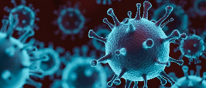 The new coronavirus is a respiratory virus which spreads primarily through droplets