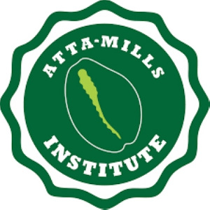 Atta Mills Institute 